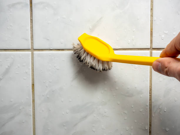 Best Commercial Mold Remediation in Lineville, AL